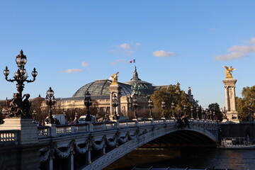 Obraz premium Alexander III bridge and the Grand Palace in Paris