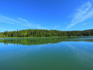 Fototapeta premium Tranquil lake surrounded by lush green forests, reflecting the clear blue sky above, green, wilderness