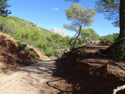 Dirt path to mont saint Victoire near Aix en Provence, famous landscape of Cezanne. Mediterranean landscape in France 