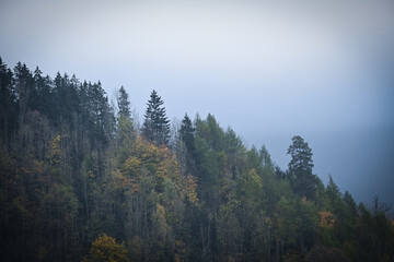 fog in the mountains