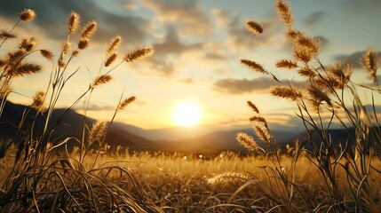 Fototapeta premium Sunset landscape with solar and wind power sources, calm nature, zerocarbon future vision