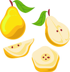 Illustration of Fresh Quince Fruits with Different Cuts