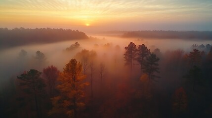 Obraz premium Overhead view of misty forest canopy at sunrise, fog thickly covering the forest, treetops emerging through the mist, soft light casting warm hues, tranquil and inviting atmosphere,