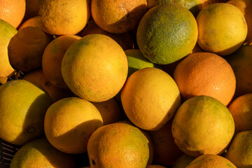 Oranges on the market