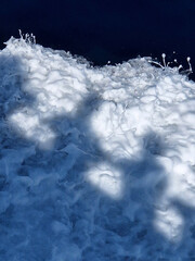 Isola del Giglio, Toscana, Italia