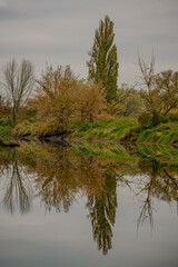 Herbst am Donaualtwasser