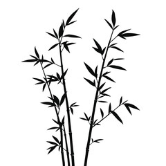 Fototapeta premium Bamboo Plant Vector Art