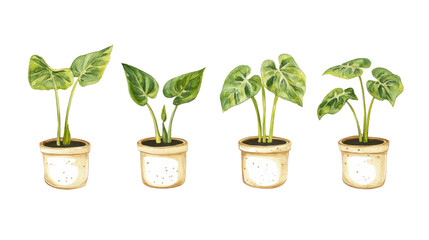 Vibrant Collection of Green Houseplants in Decorative Flowerpots Generative AI