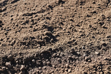 A close-up of fertile arable land. Black soil. Texture.	