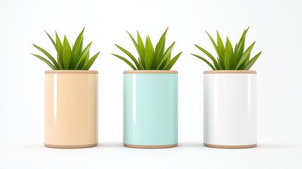 Obraz premium Three Plants In Colorful Pots
