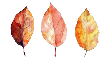 Three watercolor leaves on black background, artistic botanical illustration for elegant natureinspired design