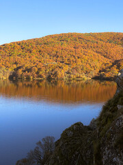 Lake view in the fall 