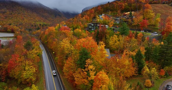 Beautiful rocks covered with bright colorful forests. A few cottages located on the rocks among the trees. Aerial view.