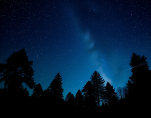 Naklejka premium night sky with stars