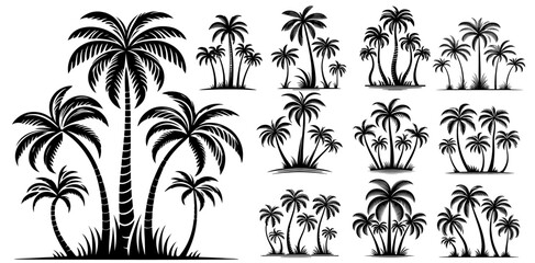 tropical palm tree collection vector sketch