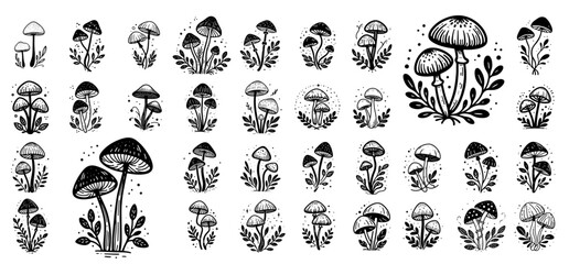 variety of mushrooms in whimsical style vector sketch