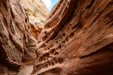 Eroded by water and wind cliffs in the canyon, Little Wild Horse Canyon, San Rafael Swell, Utah