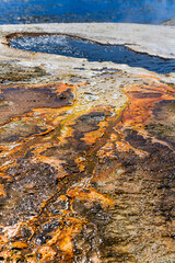 Geysers with hot water spew steam in Yellowstone National Park