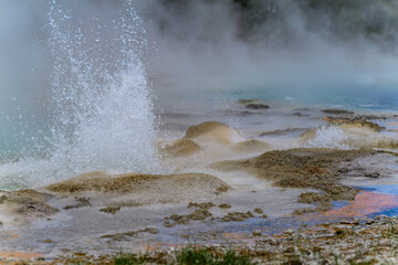 Geysers with hot water spew steam in Yellowstone National Park