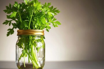 Fresh Celery in a Jar with Green Leaves