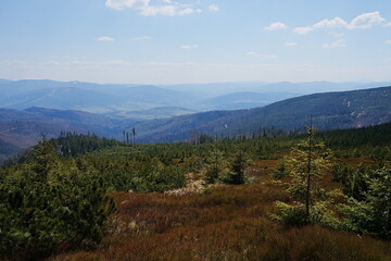 Fototapeta premium Scenery of Silesian Beskids near Szczyrk town in Poland