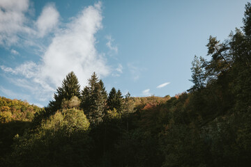 autumn in the mountains
