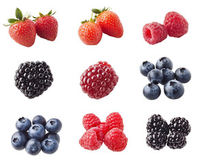 Assorted Berries with Even Spacing on White Background for Easy Editing