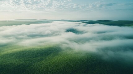 Fototapeta premium Rolling Hills Enveloped in Morning Mist
