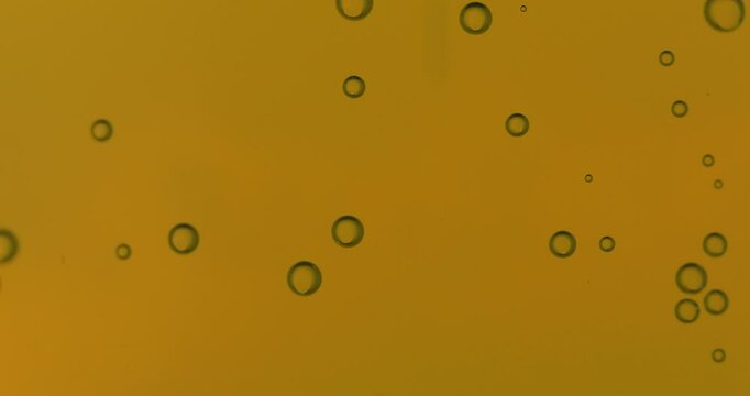 Beer bubbles on orange background