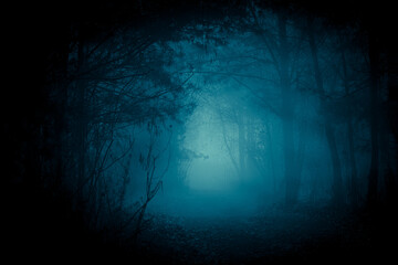 Mysterious pathway through the dark foggy forest in cold tones. Halloween background.