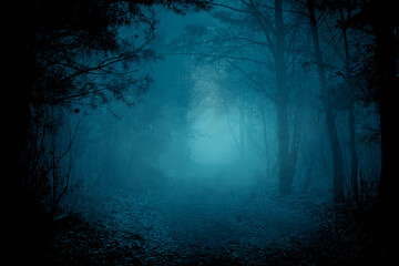 Mysterious pathway through the dark foggy forest in cold tones. Halloween background.