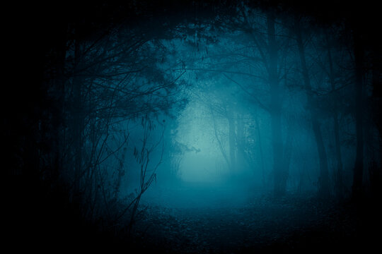 Mysterious pathway through the dark foggy forest in cold tones. Halloween background.