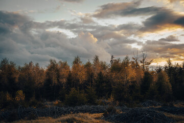 The sky is cloudy, while trees stand prominently in the foreground