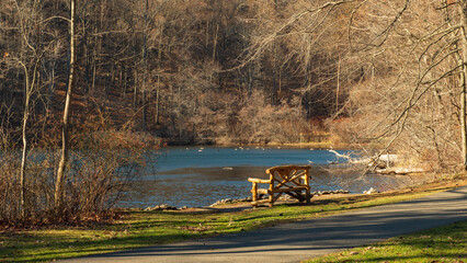 A relaxing picture of the park