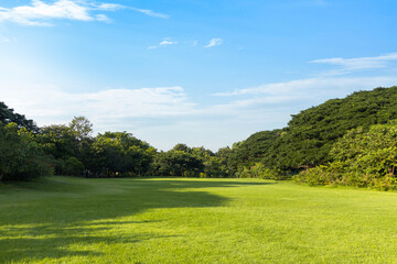 Scenic view of the park with green grass field in city and a cloudy blue sky background. Beautiful green park