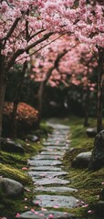 Naklejka premium A serene path through sakura trees in a minimalist Japanese garden at springtime