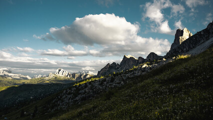 A scenic grassy hillside featuring a majestic mountain in the background