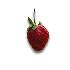 Ripe red strawberries on transparent background.