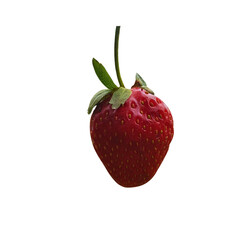 Ripe red strawberries on transparent background.