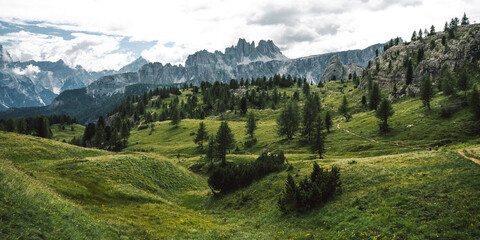 A lush green field with trees and mountains in the background