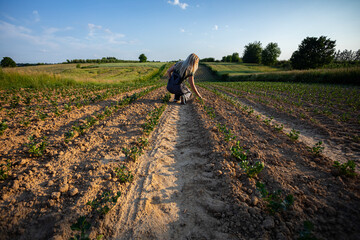 A person diligently tending to crops in a sunlit field, engaging with nature and nurturing growth