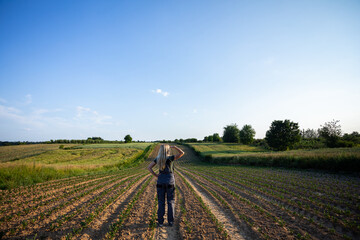 A person leisurely walking through a lush, vibrant green agricultural field during a stunning sunset