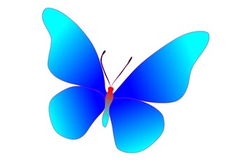 butterfly illustration design on white background