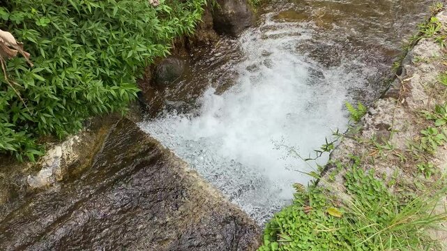 Close up view of river currents or water ripples. Clear fresh water flowing on the small ditch with green leaves plants, rocks and nature surrounding