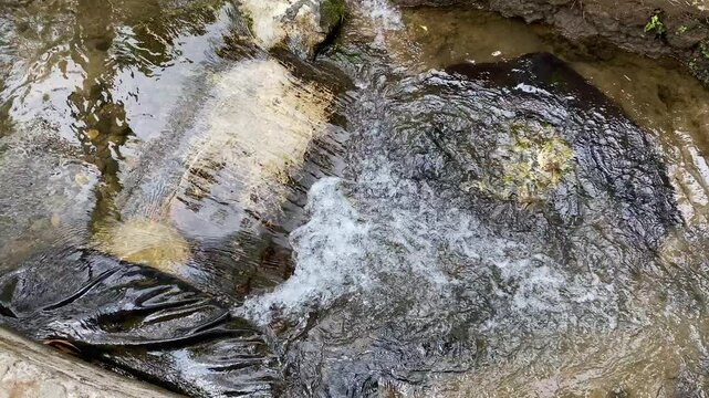 Close up view of river currents or water ripples. Clear fresh water flowing on the small ditch with green leaves plants, rocks and nature surrounding