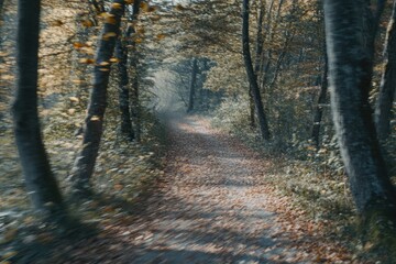 Fototapeta premium A forest path surrounded by trees in motion, as leaves rustle and fall to the ground, creating a sense of movement in the cool autumn air.