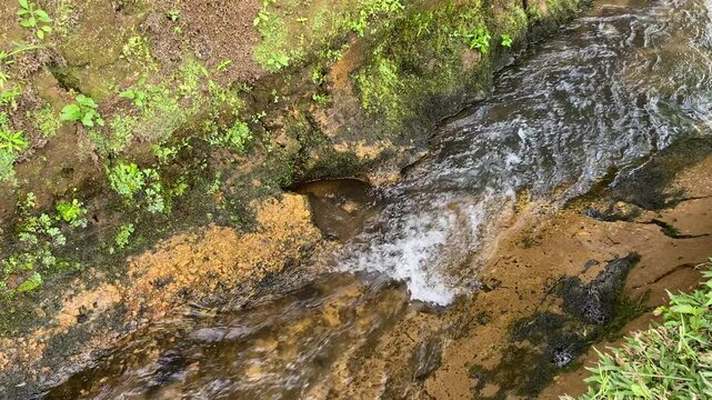 Close up view of river currents or water ripples. Clear fresh water flowing on the small ditch with green leaves plants, rocks and nature surrounding