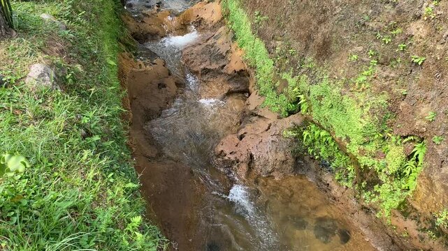 Close up view of river currents or water ripples. Clear fresh water flowing on the small ditch with green leaves plants, rocks and nature surrounding