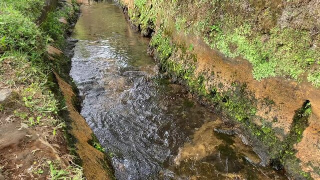 Close up view of river currents or water ripples. Clear fresh water flowing on the small ditch with green leaves plants, rocks and nature surrounding
