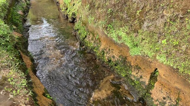Close up view of river currents or water ripples. Clear fresh water flowing on the small ditch with green leaves plants, rocks and nature surrounding